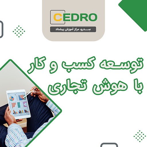 توسعه کسب و کار با هوش تجاری